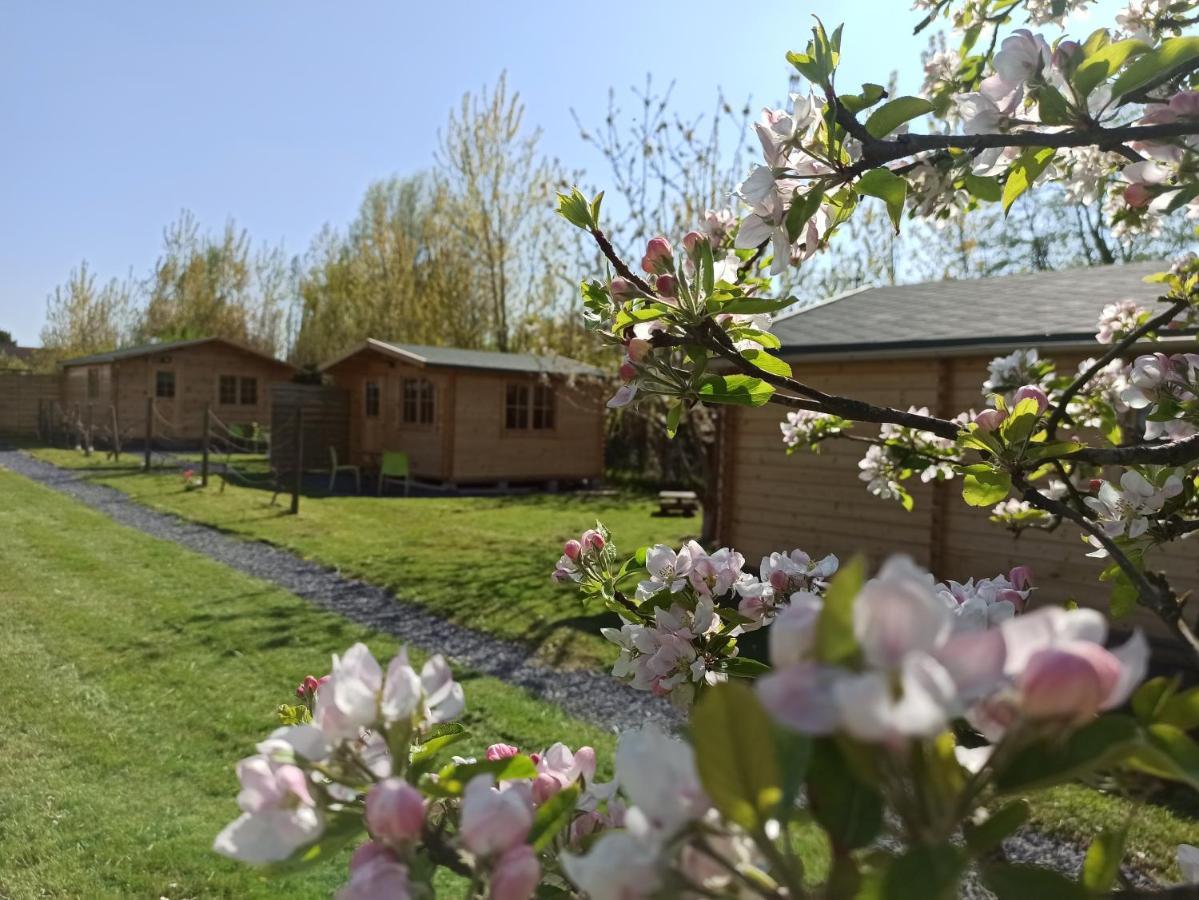 Gite Les Chalets Du Fliers Verton Meubles De Tourisme Classes 2 Etoiles Berck Exteriér fotografie