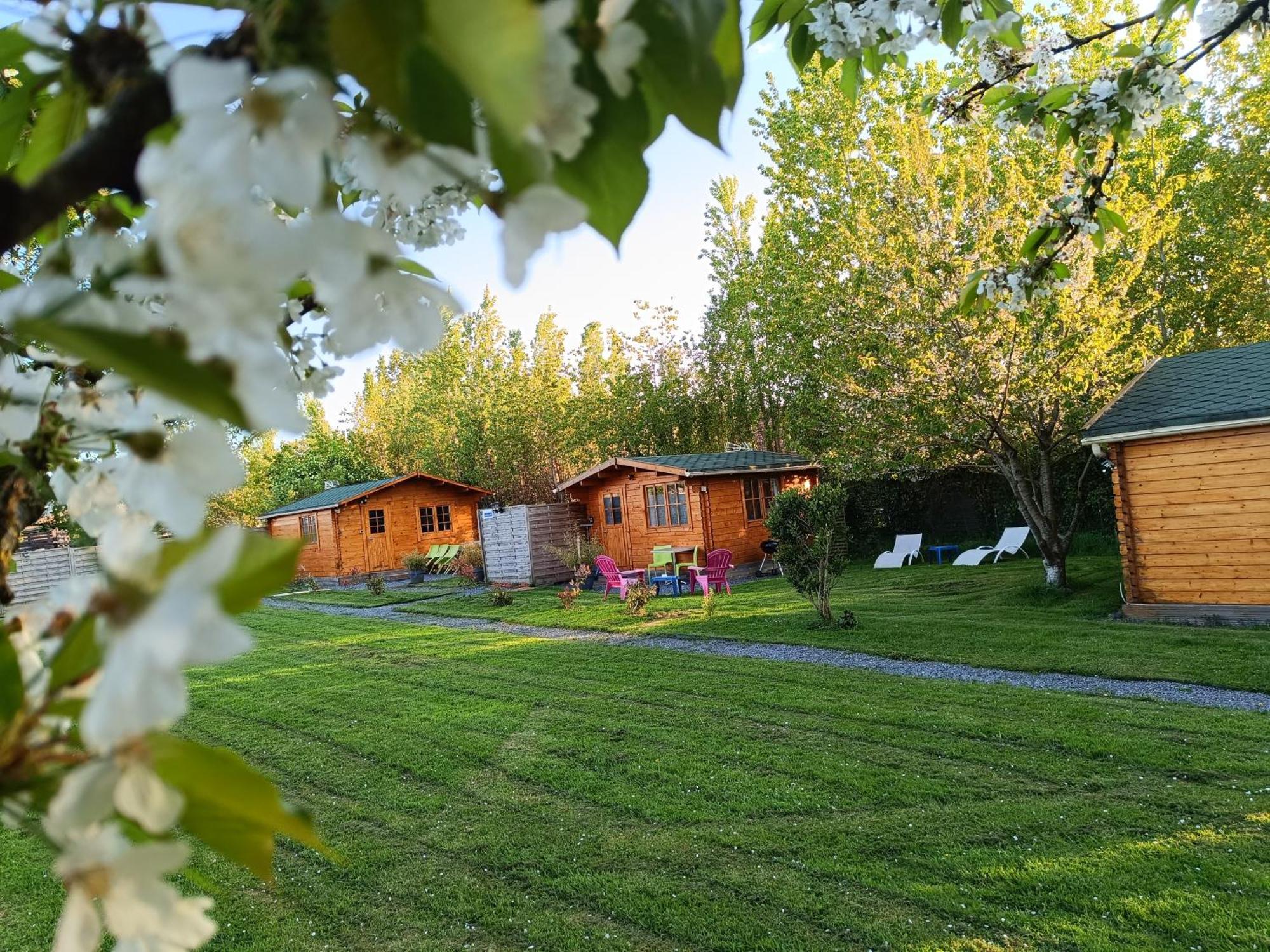 Gite Les Chalets Du Fliers Verton Meubles De Tourisme Classes 2 Etoiles Berck Pokoj fotografie